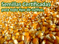 semillas