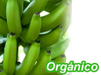 Frutales en Ecuador
