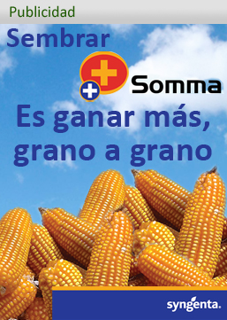 Soma